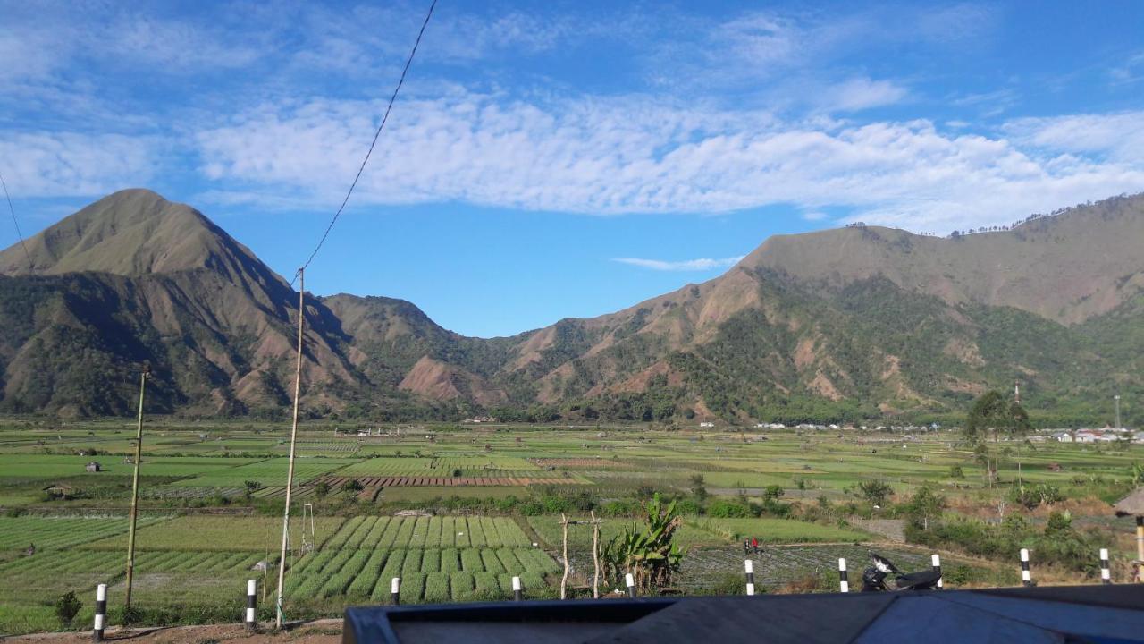 Rinjani Green Park Sembalunlawang Buitenkant foto