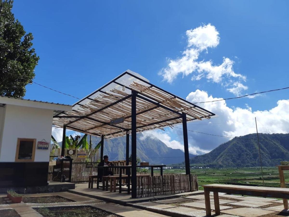 Rinjani Green Park Sembalunlawang Buitenkant foto